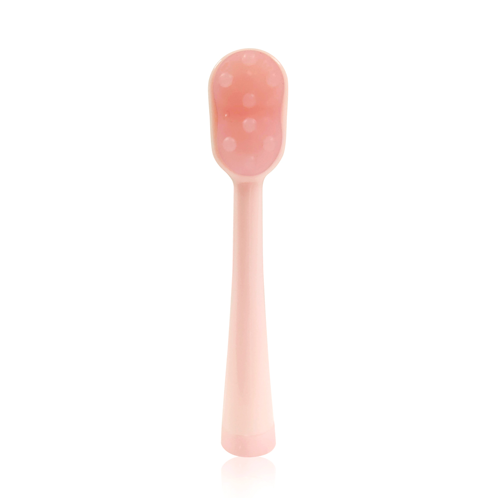 Oral ESTHE オーラルエステ・交換ヘッド
